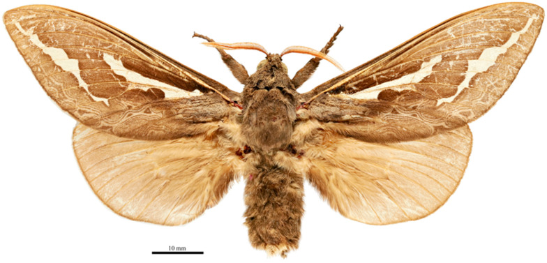 Figure 18