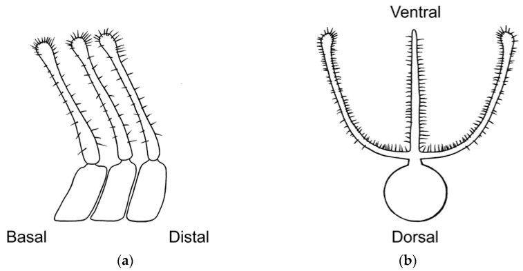 Figure 19