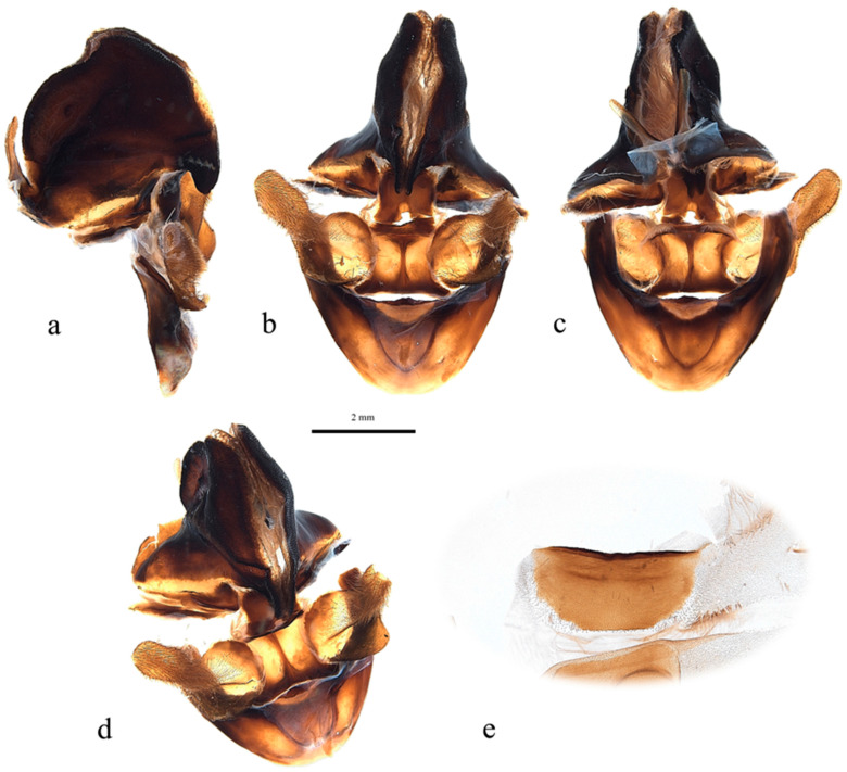 Figure 20