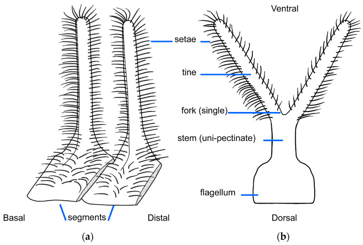 Figure 22