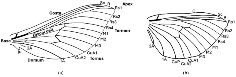 Figure 23