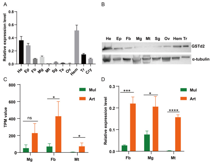 Figure 6