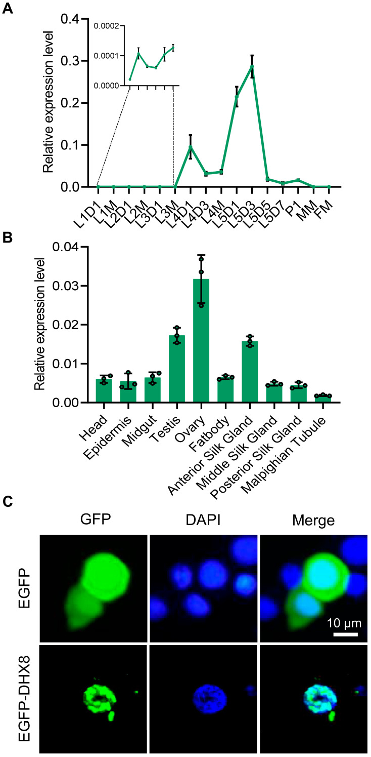 Figure 2