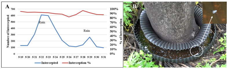 Figure 17