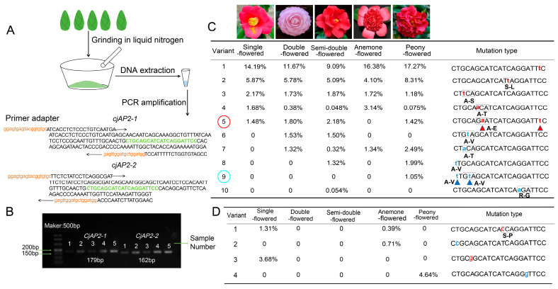 Figure 5
