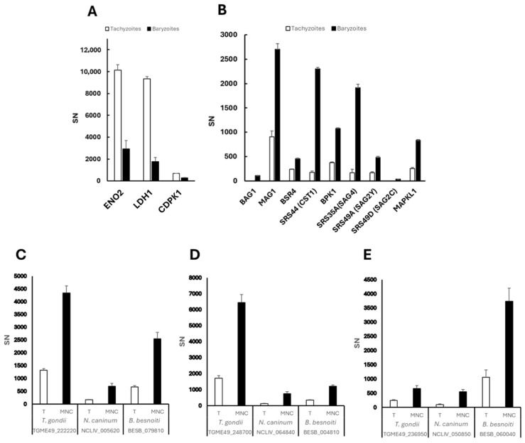 Figure 11