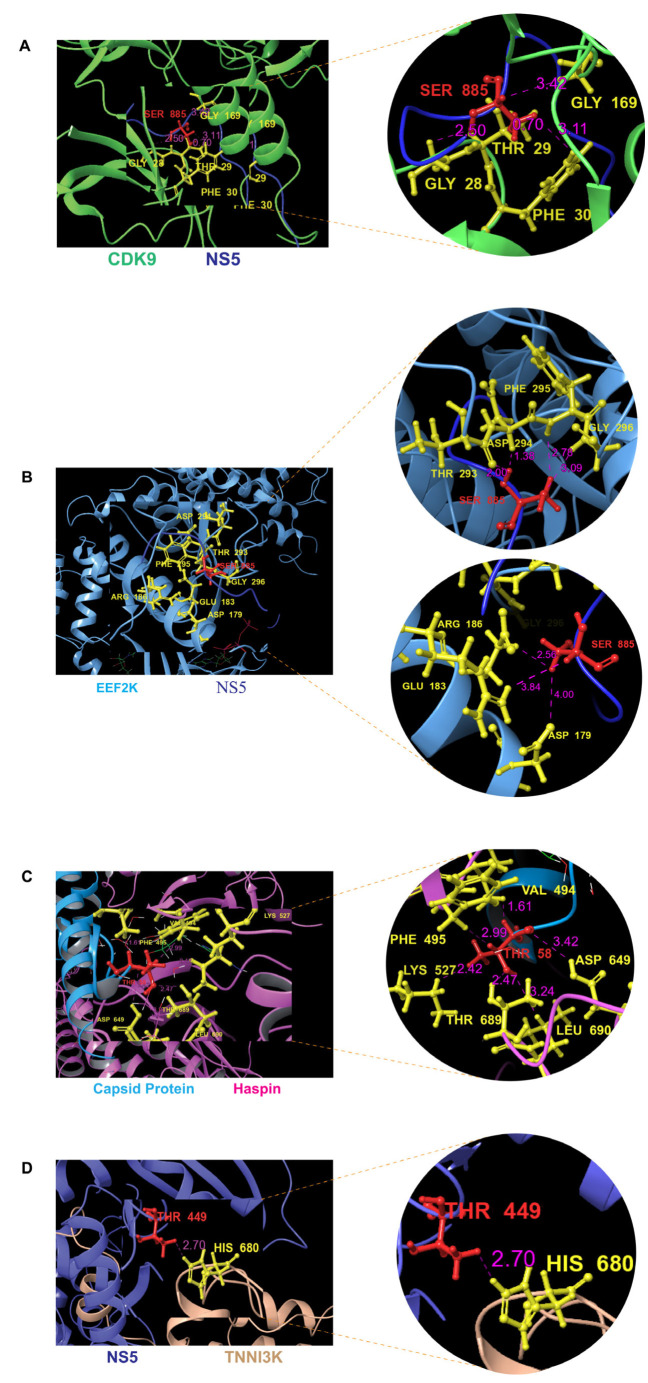 Figure 4