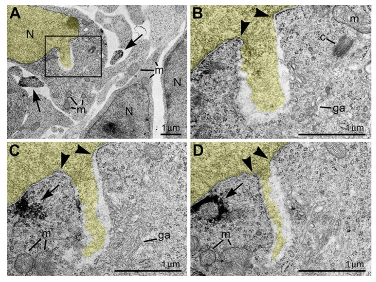 Figure 10