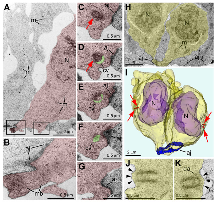 Figure 14