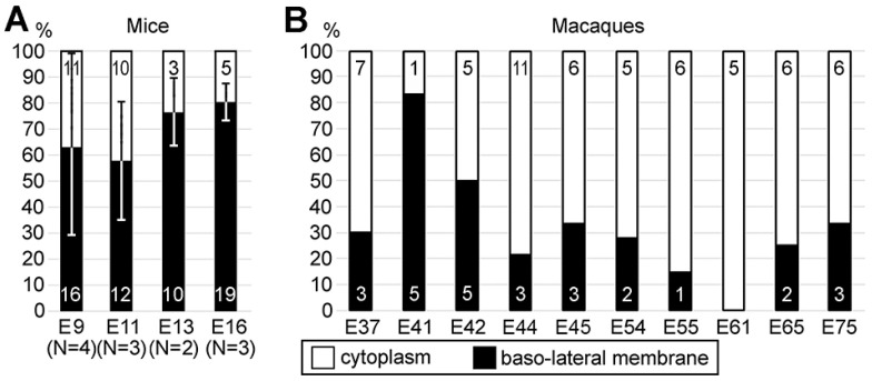 Figure 16