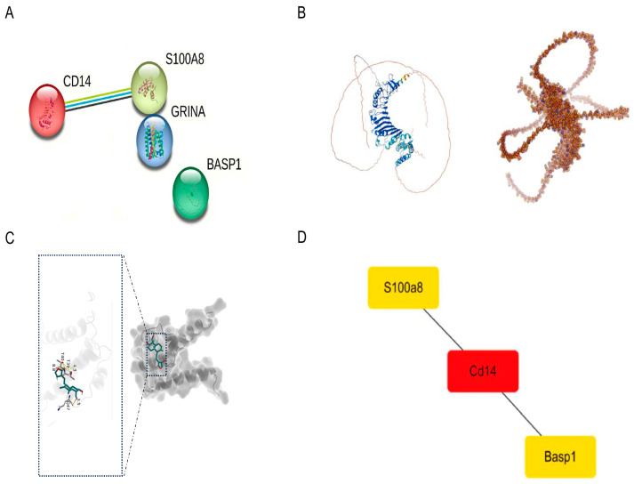 Figure 6