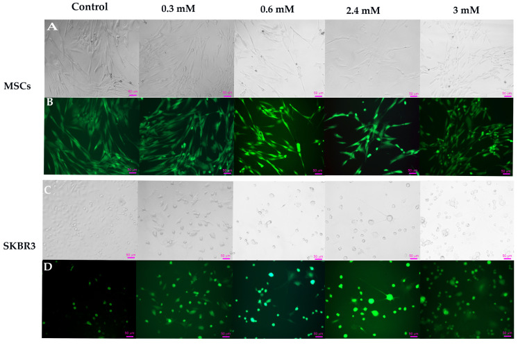 Figure 14
