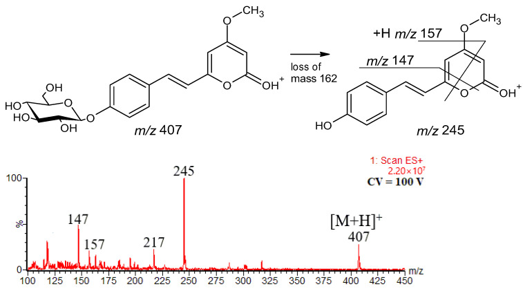 Figure 12