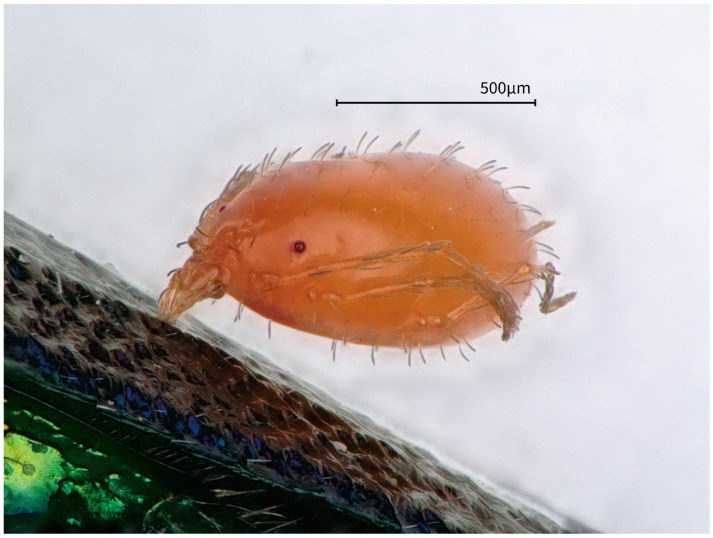 Figure 10