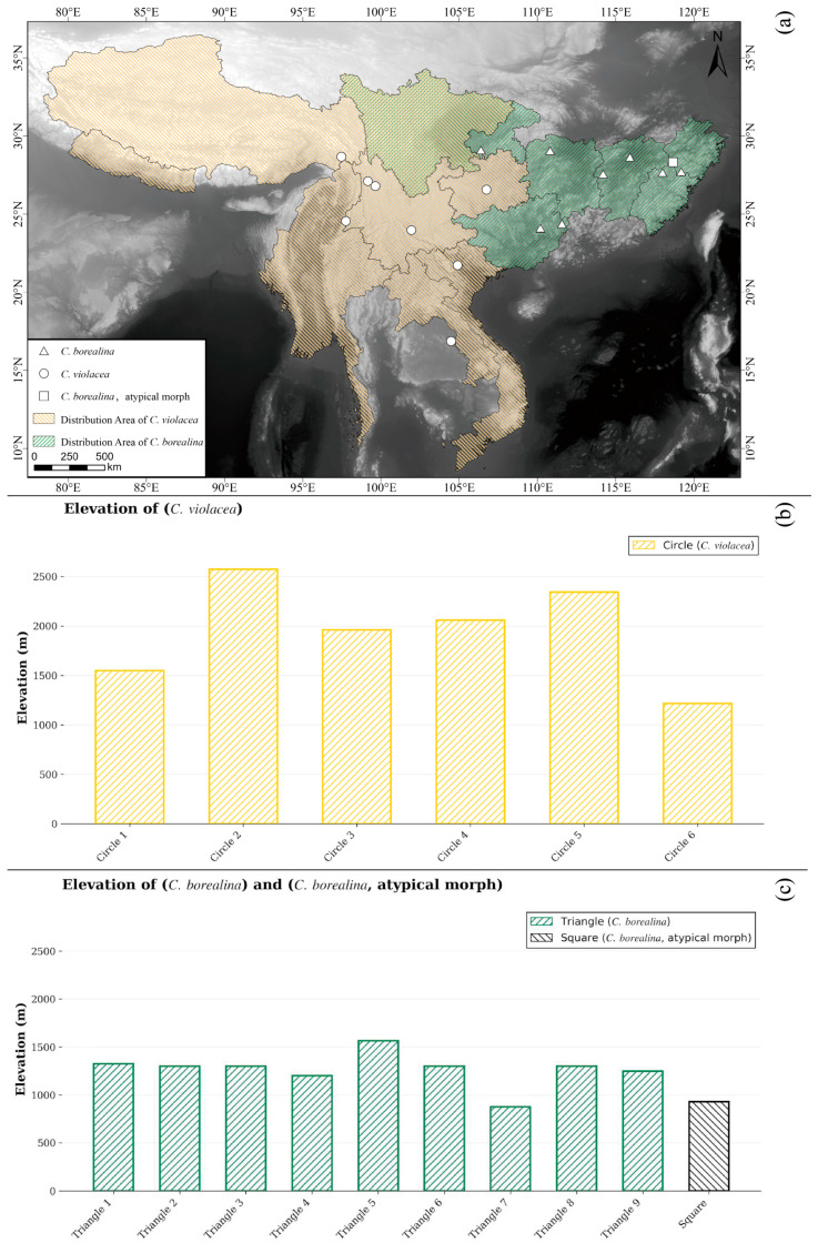 Figure 13