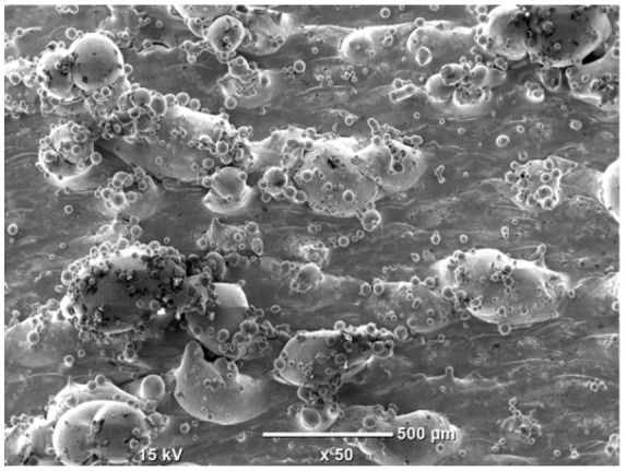 Figure 42