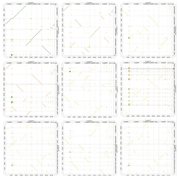 Figure 11