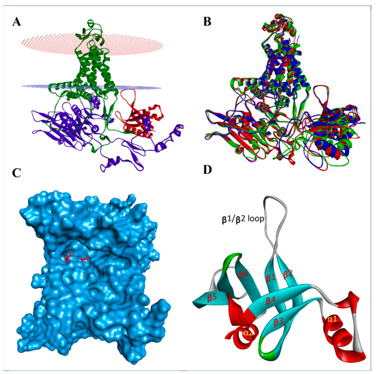 Figure 2