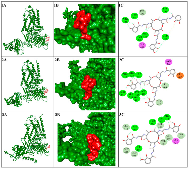Figure 6