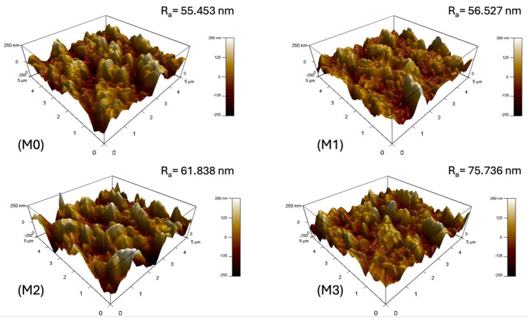 Figure 10