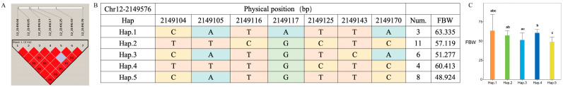 Figure 7