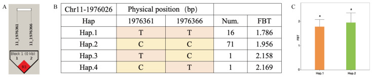 Figure 8