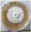 Figure 26