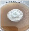 Figure 45