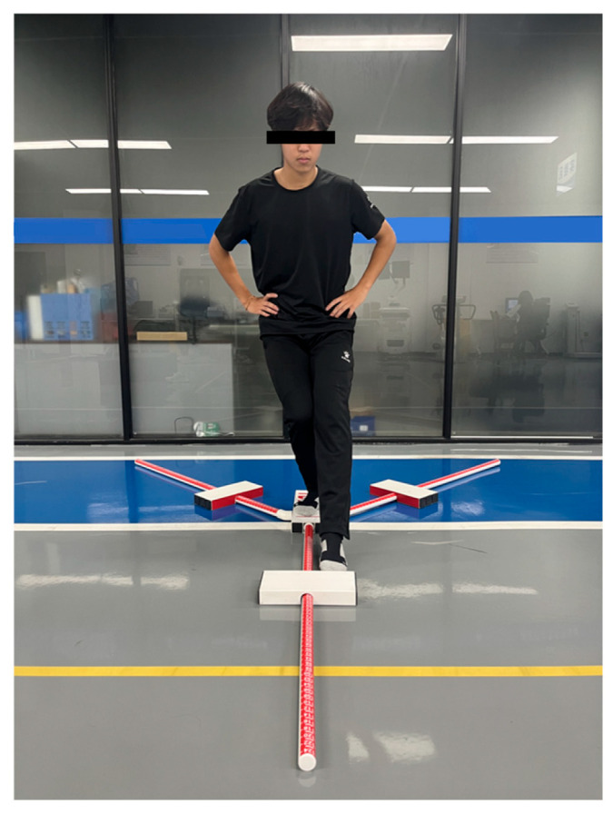 Figure 11
