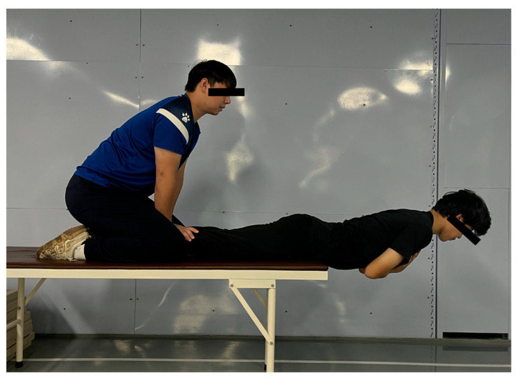 Figure 12