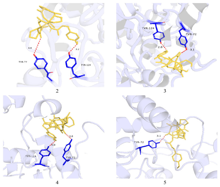 Figure 5