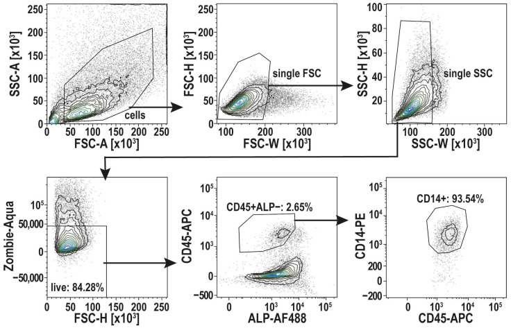 Figure 2