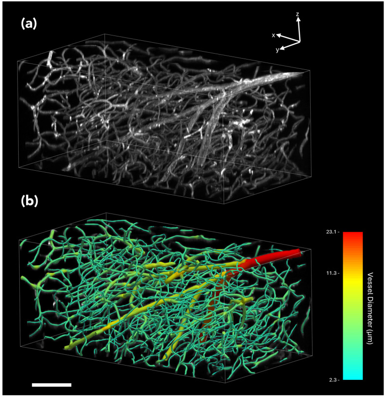 Figure 13