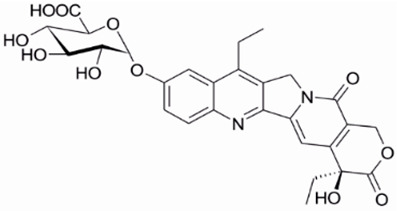 Figure 24