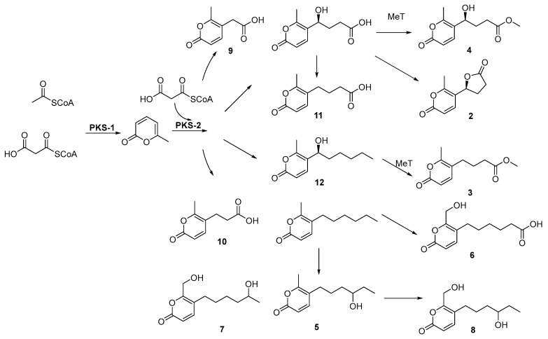 Figure 6