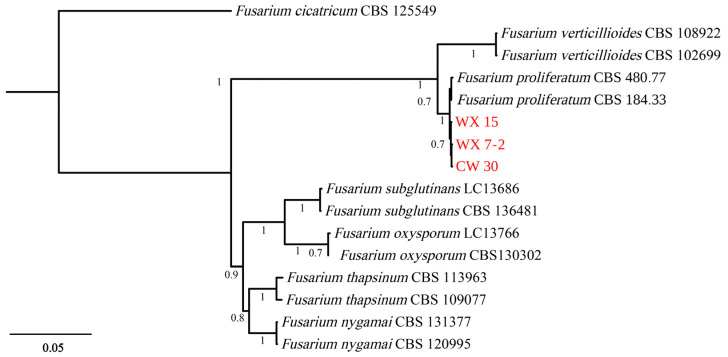 Figure 2