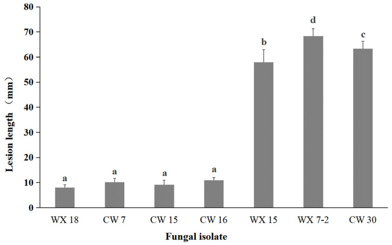 Figure 7