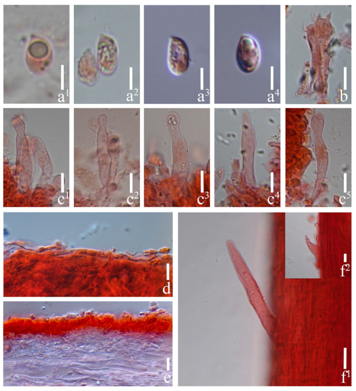 Figure 9