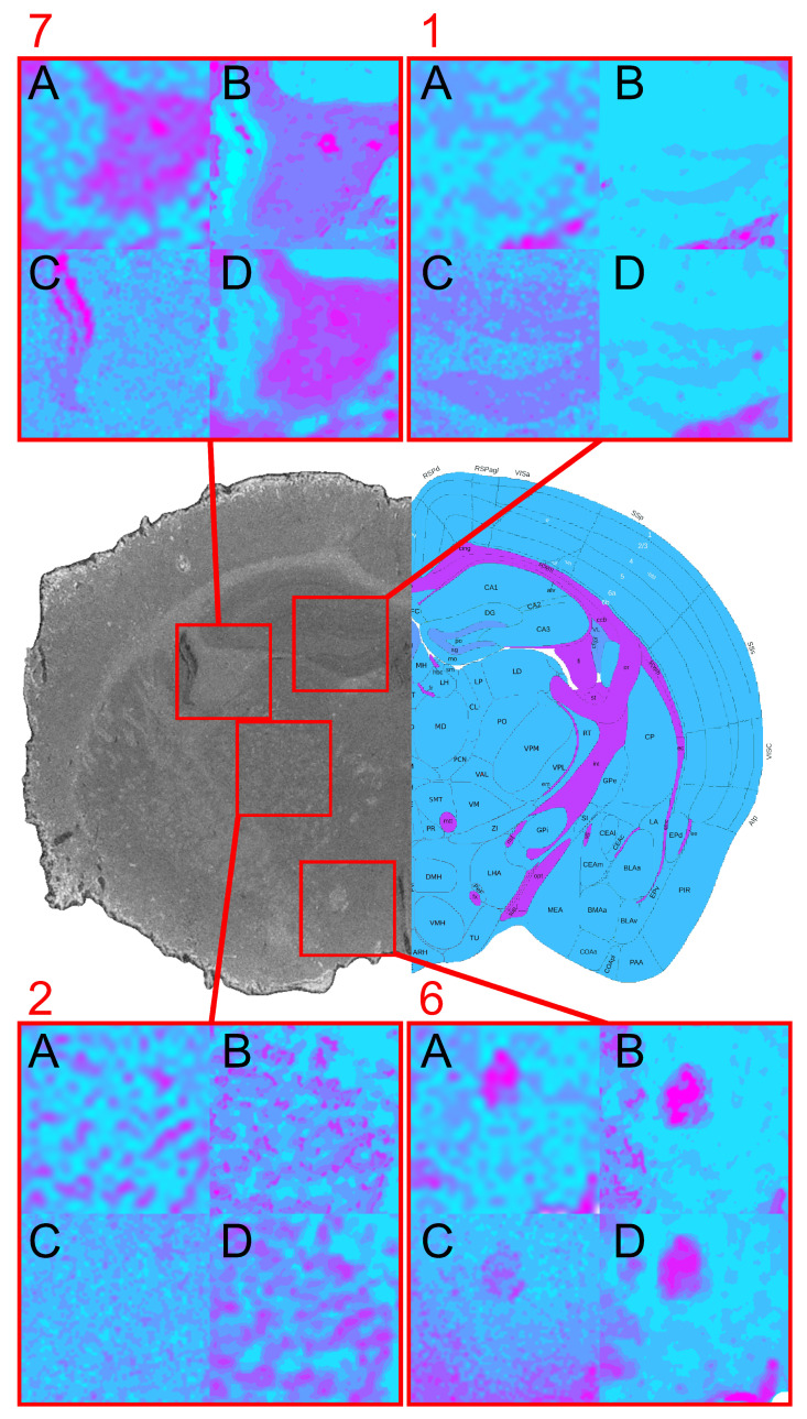 Figure 9