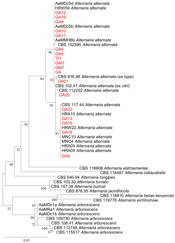 Figure 4