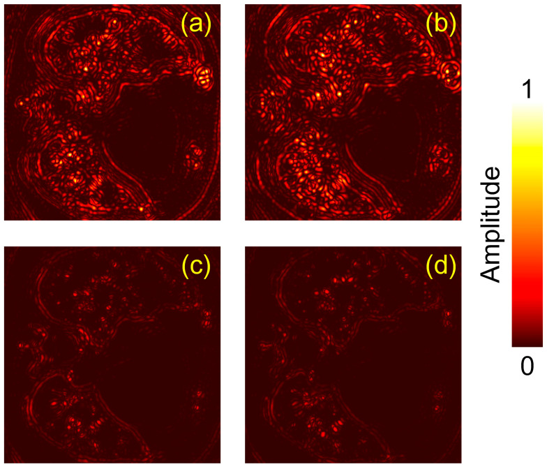 Figure 6