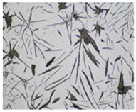 Figure 31