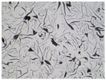 Figure 32