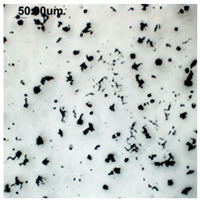 Figure 39