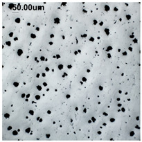 Figure 40