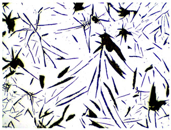 Figure 49