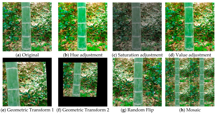 Figure 6