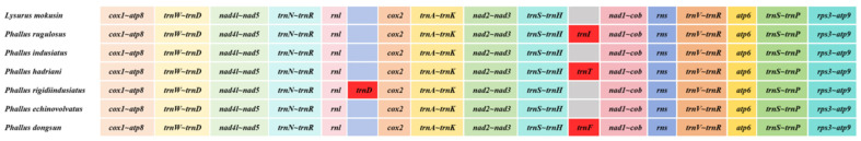 Figure 6