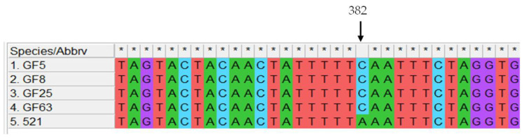 Figure 5