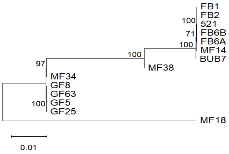 Figure 6
